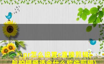 pr怎么设置c直接剪辑(航拍视频适合什么软件剪辑)