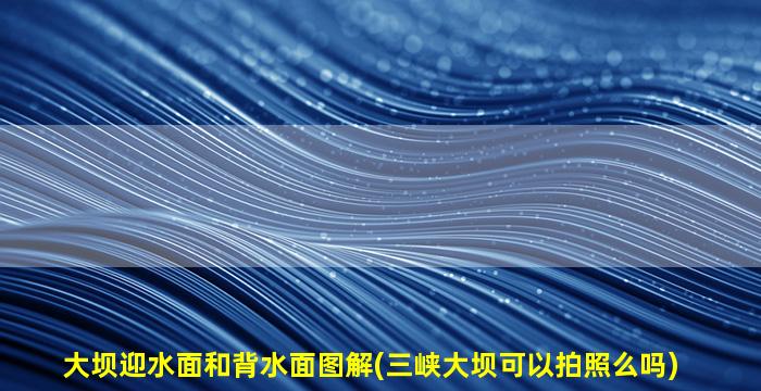 大坝迎水面和背水面图解(三峡大坝可以拍照么吗)