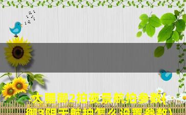 大疆御2拍夜景航拍参数(御3阴天航拍怎么设置参数)