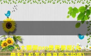 大疆御pro使用教程(大疆无人机怎么垂直向下拍摄)