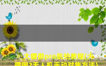 大疆御pro航拍教程(大疆御2无人机手动对焦方法)