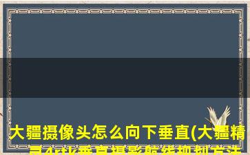 大疆摄像头怎么向下垂直(大疆精灵4rtk垂直摄影航线规划方法)