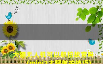 大疆无人机可以航拍故宫吗(mini3大疆航拍技巧)