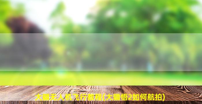 大疆无人机飞行教程(大疆悟2如何航拍)